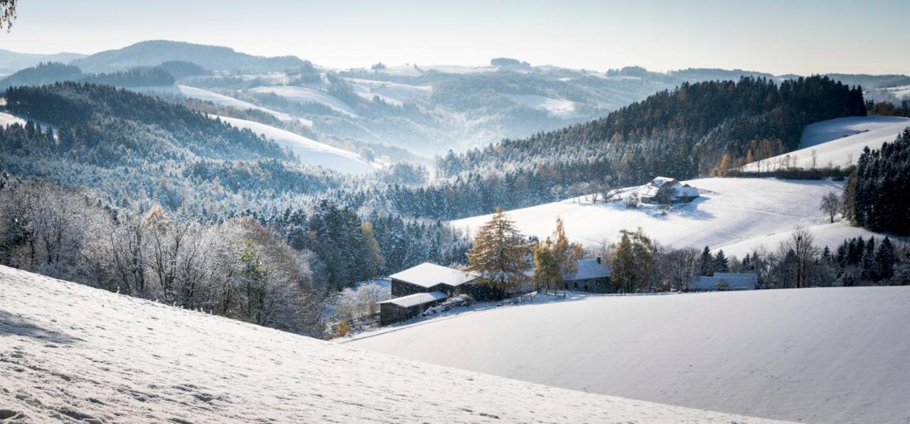 Vitalzeit Hotel Weber Bad Schonau Bagian luar foto